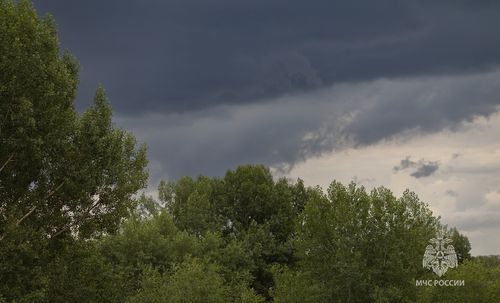 Фото ГУ МЧС России по Хакасии